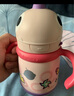 babycare儿童保温杯婴儿宝宝吸管水杯霸王龙不锈钢保温杯300ml-新旧款混发 实拍图