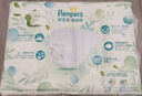 帮宝适【超薄透气】清新帮透氧Pro新生儿婴儿纸尿裤尿不湿尿片尿布NB66 实拍图