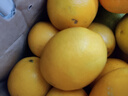 土八鲜赣南脐橙江西橙子赣州脐橙新鲜水果应季水果礼盒 奋斗橙净重4.5-5斤【果径60-69mm】 实拍图