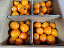 京喜加夏日阳光小番茄黄色迷恋圣女果即食水果小柿子现摘现发减肥 黄色圣女果五斤装 实拍图
