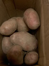 内蒙红皮大土豆新鲜黄心土豆现挖洋芋地蛋马铃薯粉面火锅批发 红皮土豆大果 2斤 【单果150g+】 实拍图