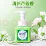 蓝月亮套装 抑菌泡沫洗手液255ml*2(雪松+芦荟)+衣物消毒液1kg 实拍图