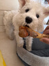 疯狂小狗宠物狗狗零食磨牙牛骨头泰迪比熊小型犬洁齿耐啃鸡肉绕牛棒骨 90g 实拍图