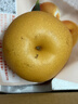 京鲜生山东烟台莱阳秋月梨净重8斤 单果300g+ 生鲜水果 源头直发包邮 实拍图