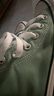 匡威（Converse）官方 All Star男女运动高帮帆布鞋豆沙绿绿色A06563C A06563C 37 实拍图