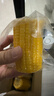 佳农 东北水果玉米段2斤7-10段 开袋即食 早餐搭档 源头直发 礼盒包邮 实拍图
