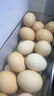 【无抗】大码鲜鸡蛋1.8kg 实拍图
