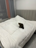 京东京造大白被Pro 100%原生纤维A类磨毛保暖被子加厚冬季被芯2.2x2.4m 实拍图