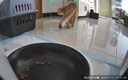 小佩宠物AI智能自动喂食器可视版 定时定量 猫狗宠物喂食 视频监控 实拍图