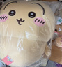名创优品（MINISO）chiikawa大号站姿公仔毛绒玩偶玩具抱枕靠枕生日礼物女 乌萨奇 实拍图
