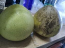 福建平和老树红柚 新鲜现摘 皮薄肉厚多汁 蜜柚柚子 1-1.5斤（2粒）性价比 实拍图