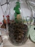 喜碧（Scybe）泡酒容器玻璃泡酒瓶酒坛泡菜坛子10斤装泡酒密封罐青梅酒罐+酒提 实拍图