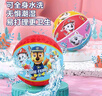 哈哈球儿童玩具5号篮球3-6岁小皮球户外亲子运动幼儿园拍拍球节日礼物 汪汪对竖版5号篮球-G6857 实拍图