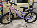 凤凰山地自行车男女变速山地车碟刹青少年儿童自行车学生单车 星际 粉紫【变速+辐条轮】 20寸【适合125-160cm】 实拍图