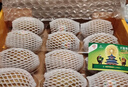 佳沛（zespri）新西兰  阳光金奇异果10粒礼盒巨大果单果约144-175g 水果 猕猴桃 实拍图