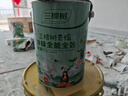 三棵树漆（SKSHU）乳胶漆室内底漆云绘净味全能全效底漆油漆涂料墙面漆 5L 实拍图