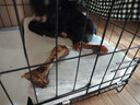 蒙贝 香酥牛棒骨 小型犬狗磨牙棒 狗狗零食 100%真牛骨 400g箱装 实拍图