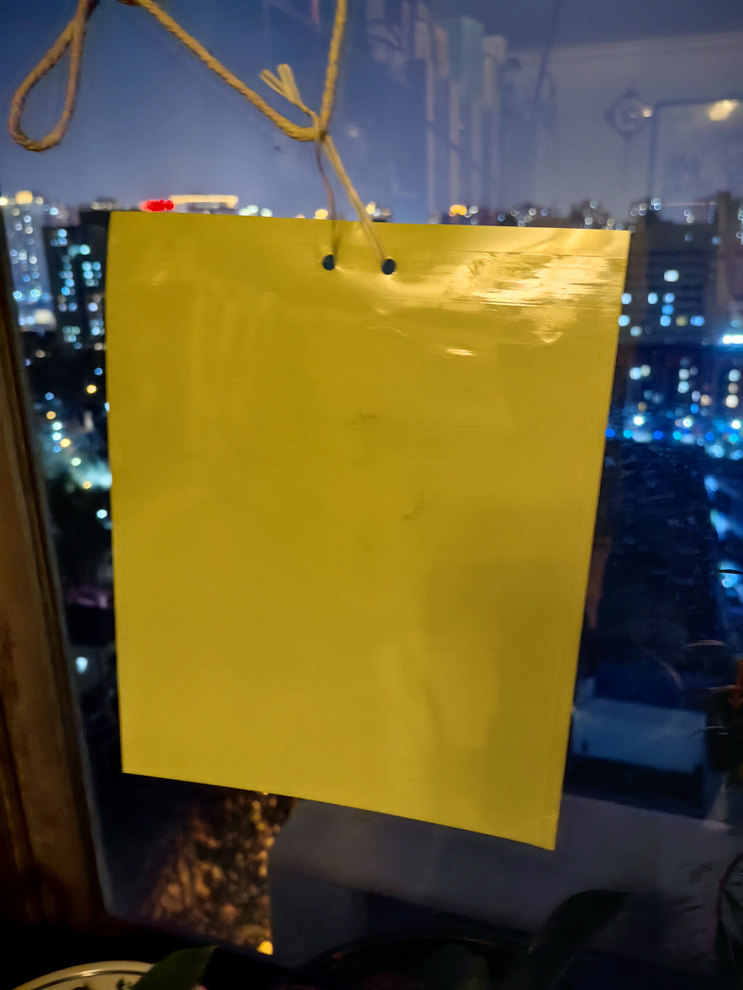 黄板双面粘虫板诱虫纸贴黄色飞虫小黑飞诱沾果蝇捕器粘板针蜂大棚 黄色【双面超强粘性】 20*25（20片） 实拍图
