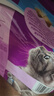 伟嘉成猫猫粮全价粮1.3kg海洋鱼味夹心粮布偶蓝猫橘猫 实拍图