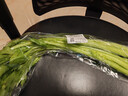 【24小时菜】大芹菜约400g 实拍图