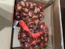 京鲜生 丹东新鲜板栗 净重4.5斤粉糯香甜单果27mm+ 人工精选 源头直发 实拍图