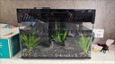 米家（MIJIA）小米米家智能生态鱼缸还原自然生态补仓一次三月无忧出差旅行必备 实拍图