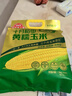 十月稻田 四平黄糯玉米 3.52斤(220g*8根)东北玉米棒 低脂早餐 零食 实拍图
