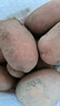 内蒙红皮大土豆新鲜黄心土豆现挖洋芋地蛋马铃薯粉面火锅批发 红皮土豆大果 3斤 【单果150g+】 实拍图