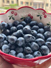 山姆大叔 蓝莓巨无霸【空运-多地次日达】新鲜鲜果水果礼盒年货节送礼 【超甜·特大果| 金标】18mm+ 125g*4盒装【巨划算-80%人选】协会推荐* 净400g 实拍图