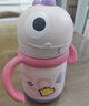 babycare儿童保温杯婴儿宝宝吸管水杯霸王龙不锈钢保温杯300ml-新旧款混发 实拍图