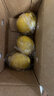 广东香水黄柠檬包邮新鲜水果柠檬精选皮薄奶茶店专用整箱 现货 柠檬带箱2斤单果70g+约10-18个 实拍图