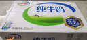 伊利纯牛奶整箱250ml*16盒 全脂牛奶 礼盒装 实拍图
