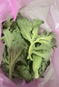良知农哥【顺丰】山东冰草 新鲜冰菜沙拉蔬菜冰叶 健康轻食 5斤 实拍图