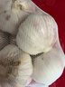 山东金乡蒜大蒜出口标准精选大蒜头蔬菜调料单果5cm 出口标准网兜装箱 460g 5cm+ 实拍图