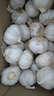 紫白皮蒜水果大蒜超市即食生鲜蔬菜大蒜 【精选】净重 2.8斤 单果3.5-5cm 实拍图