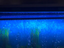 云峰海瑞 LED龙鱼缸灯水陆两用水中水草灯水族箱LED鱼缸灯具防水灯 24键遥控+手控变色95CM 实拍图