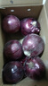 京鲜生 甘肃紫皮洋葱带皮 净重5斤 单果300g+ 新鲜蔬菜源头直发 实拍图
