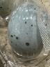 光阳 松花皮蛋 360g 6枚装 不涩不麻溏心皮蛋 即食凉拌 无抗生素认证 实拍图
