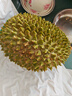京鲜生马来西亚D197猫山王榴莲冷冻2.5-3斤保4房新鲜水果 实拍图