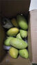 三亚芒果  海南芒果新鲜水果生鲜整箱当季大青皮芒 热带孕妇芒果 10斤装(净果8.5-9斤)单果200克起 实拍图