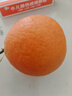 集南鲜 赣南脐橙 江西橙子新鲜现摘水果脐橙时令生鲜水果甜橙 水果礼盒 净重9斤 精品橙 单果160-220g 实拍图