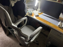 锦汐 电脑椅家用办公椅子靠背人体工学椅学习转椅老板座椅游戏电竞椅 【可后躺】白框灰网 实拍图