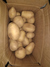 播州鲜贵州新鲜土豆高山马铃薯土豆黄皮黄心土豆5斤农家自种蔬菜 新鲜黄皮土豆5斤 （净重） 实拍图