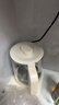 半球（PESKOE）养生壶 煮茶器 多功能烧水壶 智能恒温电热水壶 电水壶煮茶壶 多段保温迷你玻璃花茶壶 基础款 1.8L 实拍图