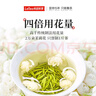 乐品乐茶茉莉花茶特级茶叶2025新茶川派250g横县飘雪自己喝送礼袋热门商品 实拍图