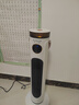 志高（CHIGO）取暖器家用暖风机语音遥控加湿立式浴室暖风扇电暖气大面积节能摇头电暖器卧室客厅烤火炉 实拍图