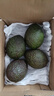 正宗进口秘鲁哈斯牛油果孕妇水果宝宝辅食进口鳄梨整箱批发价 4个装 单果重160-190克 实拍图