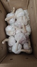 京鲜生山东金乡大蒜带皮新鲜干蒜净重2斤单果4.5cm起 源头直发包邮 实拍图