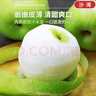京地达梨砀山翠玉梨翠冠香梨新鲜水果净重8.8斤单果250g+源头直发包邮 实拍图