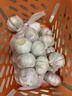 大蒜头出口品质网兜紫蒜蔬菜调料新鲜大果烧烤火锅食材 【精品网兜装】1斤装 450g 实拍图